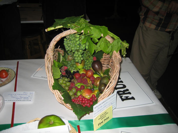 ../Images/Horticultural Show 2006-3.JPG